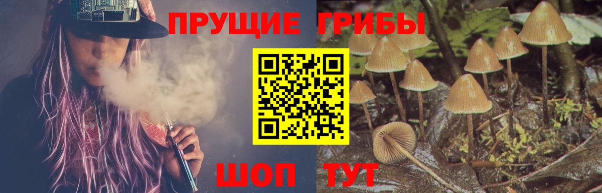 Калуга  Псилоцибиновые грибы мицелий  Вход с VPN 